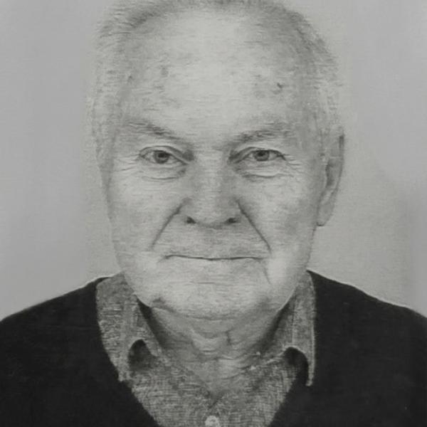 Vladimír Hronský